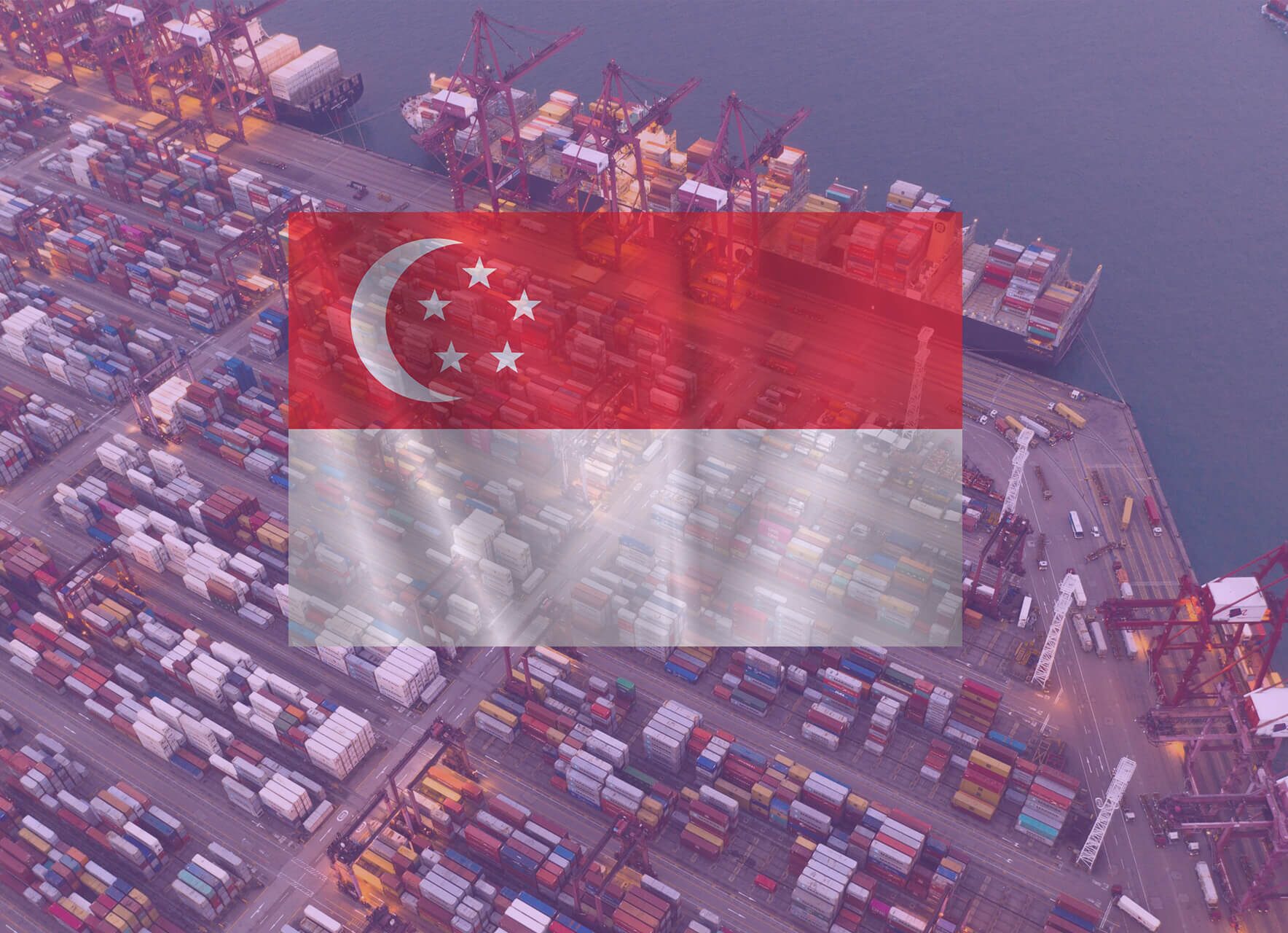 Singapore-import-freight-cost-down-mehtod