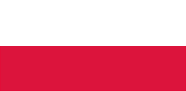 ポーランドから日本への送料を安くする方法！ポーランドからの日本輸入時の海外送料削減術を公開！