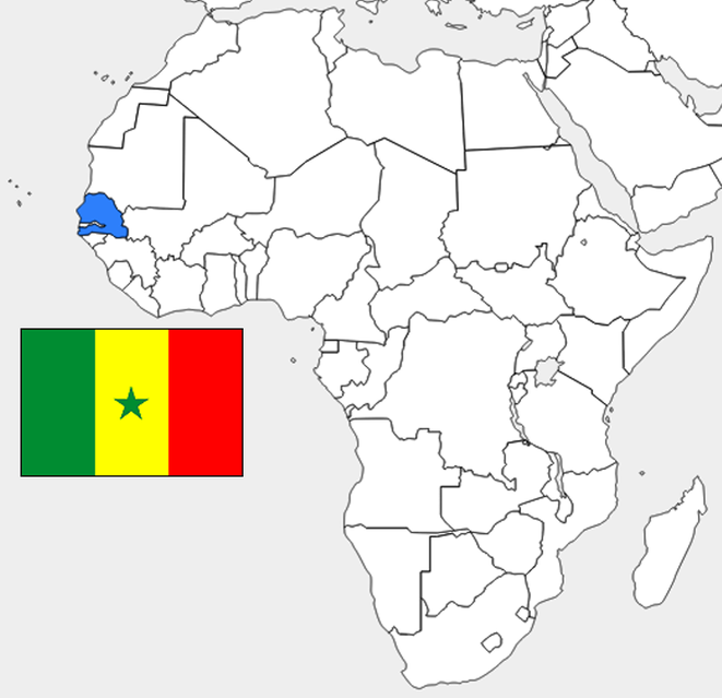 senegal-import-freight-cost-down-method