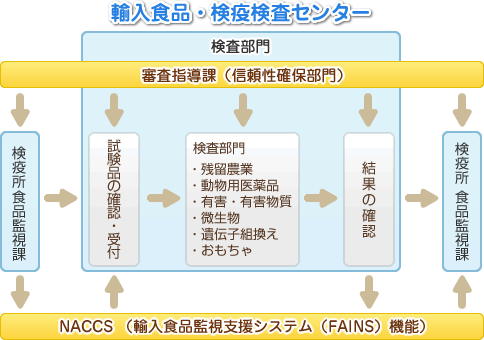 食品輸入代行利用ガイド：初めての方へ解説！優良な海外輸入代行会社も紹介