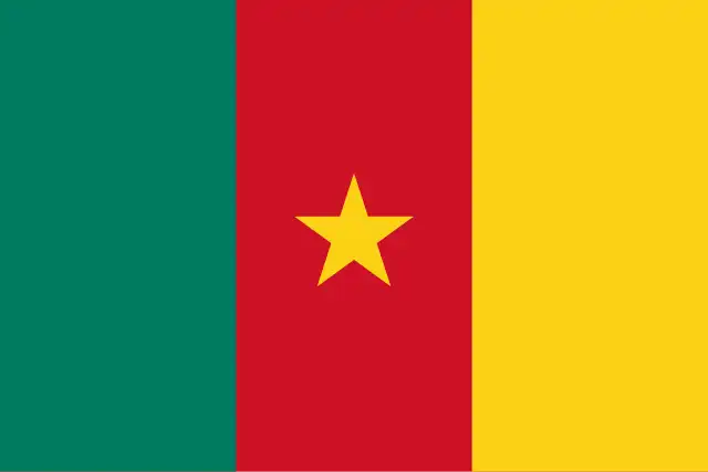 cameroon-to-japan-baggage-ryoukin