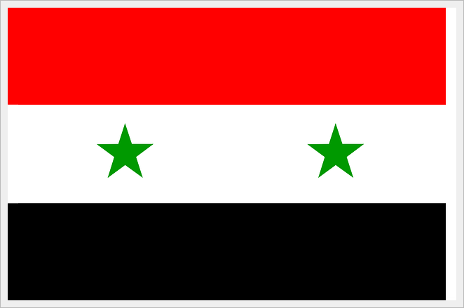 Syria-to-japan-sea-freight-ryouukin