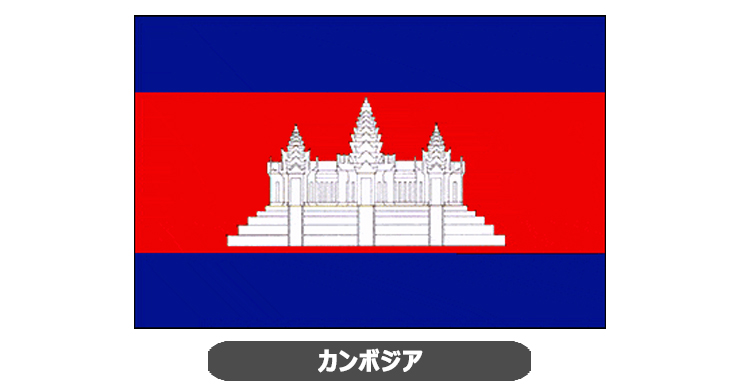 カンボジア向けのEMS輸送による受け取りの手順と注意点を解説！日本からカンボジアに安く送る輸送代行会社を紹介！