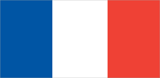 フランスから日本へ荷物を送る際の関税と税率の基礎知識とは？フランスから日本に安く荷物を送れる海外輸送代行会社を紹介！