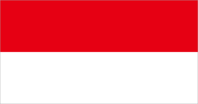 EMSでインドネシア向けに送る際の料金を徹底比較、安く利用するコツと注意点とは？日本からインドネシアに安く送る輸送代行会社を紹介！