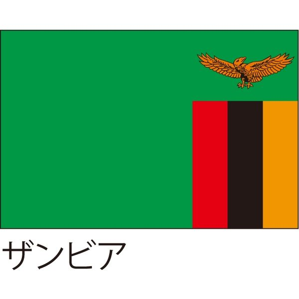 ザンビア向けの郵便事情を詳しく解説して使い方とは？日本からザンビアに安く送る輸送代行会社を紹介！