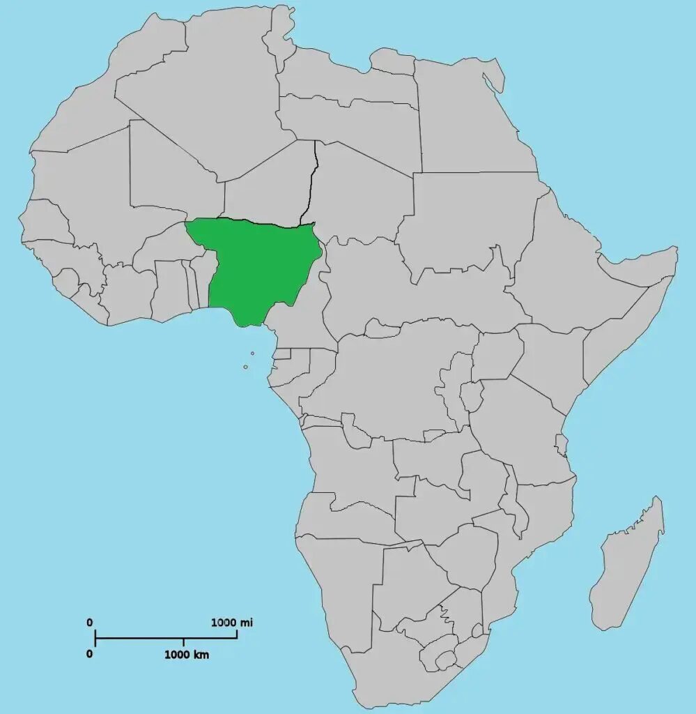 ナイジェリア向けの輸入通関の基礎と手続きガイド！日本からナイジェリアへ早くて安く荷物を送れる海外輸送代行会社を紹介