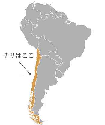 日本からサンティアゴへ荷物を送る方法と送料の比較！日本からチリに安く荷物を送れる輸送代行会社を紹介！