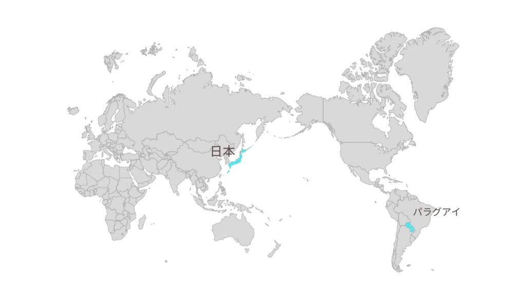日本からアスンシオンへ荷物を送る方法と料金の実態とは？日本からパラグアイに安く荷物を送れる輸送代行会社を紹介！