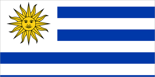 日本からモンテビデオへ荷物を送る方法と注意点とは？日本からウルグアイに安く荷物を送れる輸送代行会社を紹介！