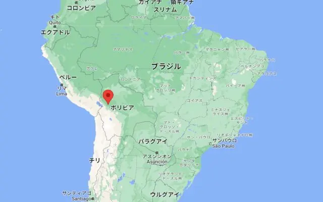 日本からラパスへ荷物を送る方法と注意点とは？日本からボリビアに安く荷物を送れる輸送代行会社を紹介！