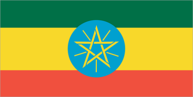 日本からアディスアベバへ荷物を送る方法と料金のすべて！日本からエチオピアに安く荷物を送れる輸送代行会社を紹介！