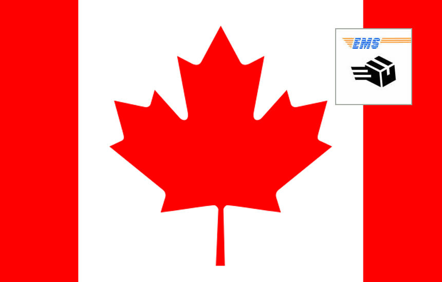 トロント向け輸送の選び方と料金徹底ガイド！日本からカナダへ早くて安く荷物を送れる海外輸送代行会社を紹介